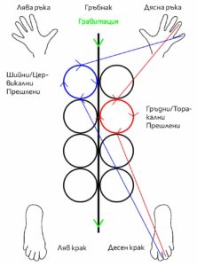 Б. RL-RA
