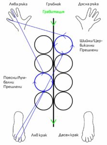 Е. LA-LL